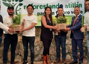 Alianza permite sembrar más de un millón de árboles en cuenca de Atitlán