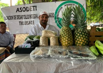 Ferias de alimentación escolar impulsan a productores locales