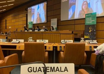 Guatemala participa en Grupo de Trabajo sobre Tráfico Ilícito de Migrantes