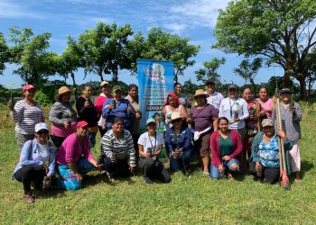 Jornadas de reforestación