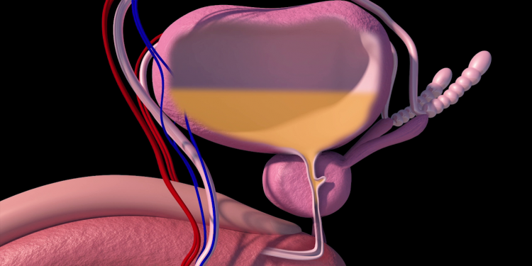 Conozca algunos de los síntomas que alertan problemas de próstata
