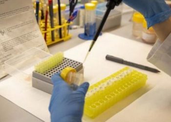 OMS evalúa potencia de vacunas para prevenir viruela del mono