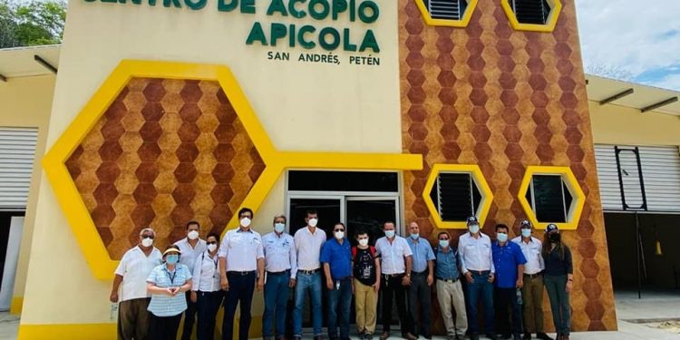 Centro de acopio apícola de San Andrés, Petén, recibe licencia sanitaria