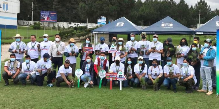 Inab continúa con la reforestación en Totonicapán