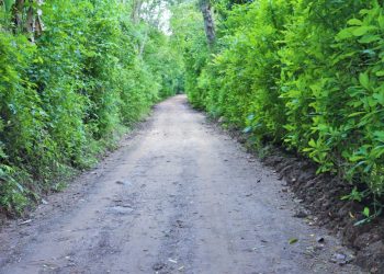 Buscan optimizar la infraestructura vial de Santa Cruz Naranjo