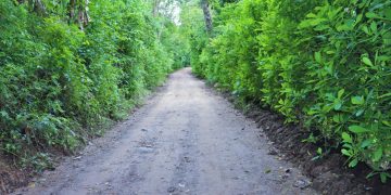 Buscan optimizar la infraestructura vial de Santa Cruz Naranjo