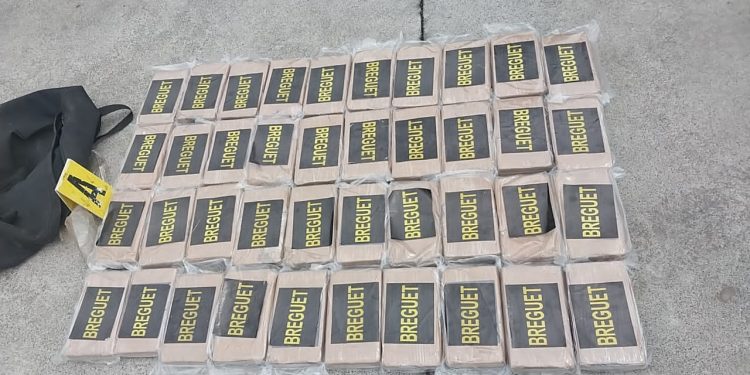 Dan golpe al narcotráfico con localización de 193 paquetes de cocaína