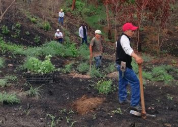 El Progreso acciona para proteger el medio ambiente
