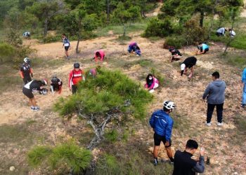 Inab promueve la cultura forestal en Huehuetenango