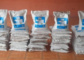 Pequeños productores de Malacatancito reciben semilla de maíz mejorada