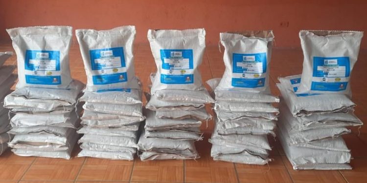 Pequeños productores de Malacatancito reciben semilla de maíz mejorada