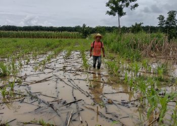 Gobierno agradece ratificación de estado de calamidad pública