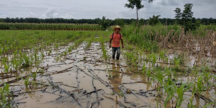 Gobierno agradece ratificación de estado de calamidad pública