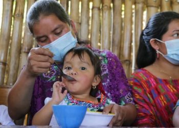 Seguridad alimentaria y nutricional
