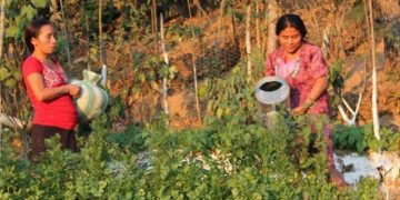 Proyecto complementará esfuerzos del Gobierno a favor de las familias del corredor seco