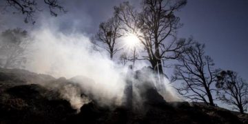 Más de 850 incendios forestales están activos en Estados Unidos al comenzar el verano