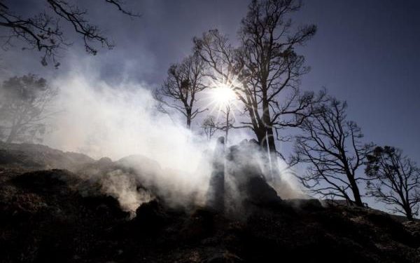 Más de 850 incendios forestales están activos en Estados Unidos al comenzar el verano