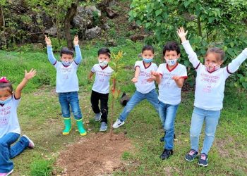 Lanzan programa Gran Distrito Verde, que impulsa la reforestación