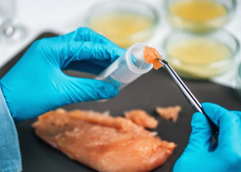 Comparten recomendaciones para prevenir intoxicación por salmonela