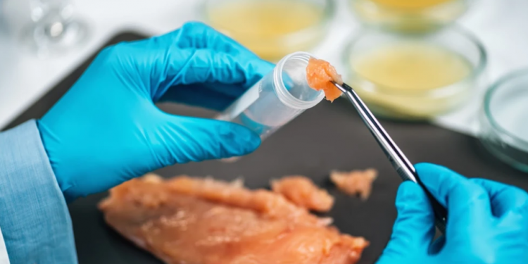 Comparten recomendaciones para prevenir intoxicación por salmonela