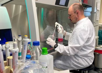 Brasil confirma primeros casos autóctonos de la viruela del mono