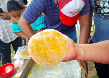 MAGA refuerza capacidades de apicultores peteneros