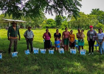 Semillas mejoradas de maíz y maicillo refuerzan la producción agrícola en Melchor de Mencos