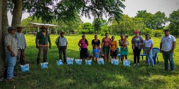 Semillas mejoradas de maíz y maicillo refuerzan la producción agrícola en Melchor de Mencos