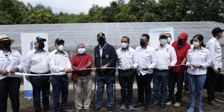 Fortalecen producción de cacao en Santa María Cahabón, Alta Verapaz