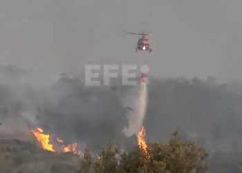 España lucha contra los incendios forestales en una ola de calor extremo