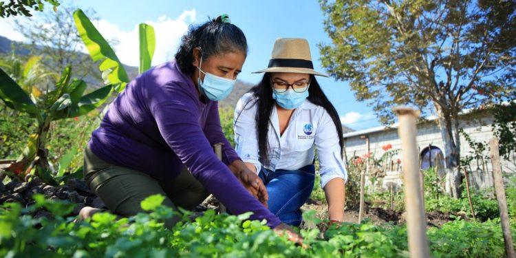 El Maga apoya a las mujeres en el tema de agricultura