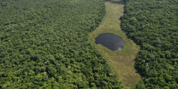Unidad de manejo La Unión recibe prórroga de concesión forestal