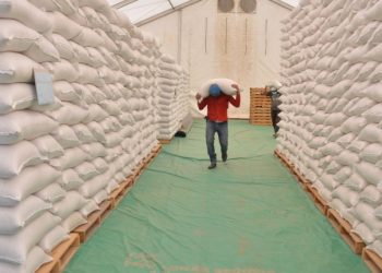 Guatemala ha permitido la importación de más de 637 mil toneladas métricas de alimentos