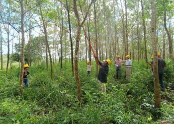 Finanzas resalta compromiso con traslado de fondos para programas forestales