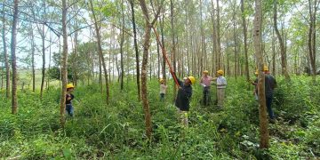 Finanzas resalta compromiso con traslado de fondos para programas forestales