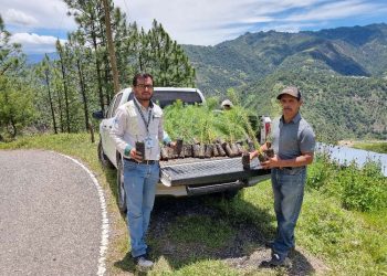 Programa de reforestación en San Marcos