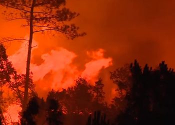 Unos mil 500 bomberos combaten 8 fuegos en Portugal ante meteorología extrema