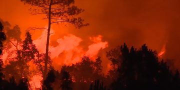 Unos mil 500 bomberos combaten 8 fuegos en Portugal ante meteorología extrema