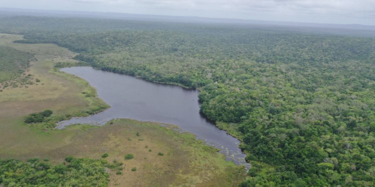 Otorgan concesiones para manejo integral de recursos en Petén