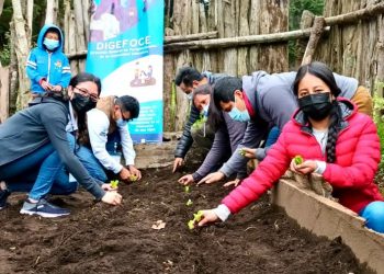 MAGA y Mineduc establecen huertos escolares en Totonicapán
