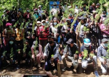 Inab continúa con jornadas de reforestación en territorio totonicapense