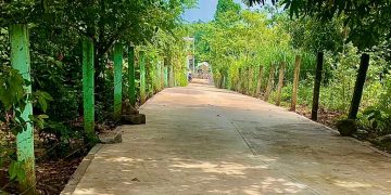 Mejoramiento de tramo contribuye al desarrollo de Nuevo San Carlos