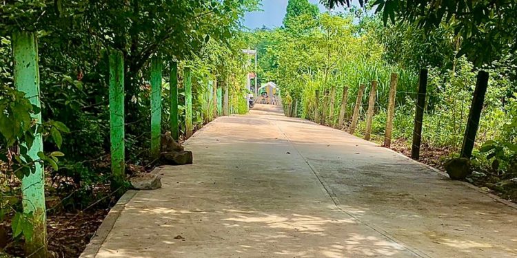 Mejoramiento de tramo contribuye al desarrollo de Nuevo San Carlos