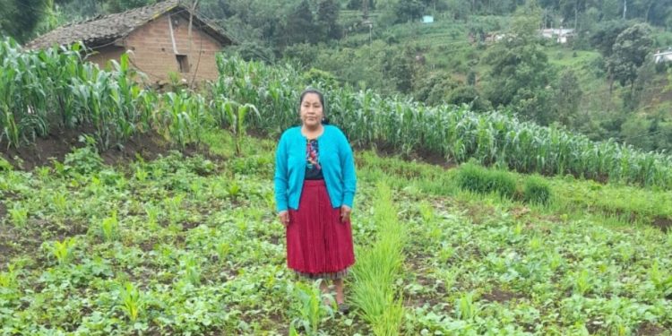 MAGA fomenta emprendimiento agrícola con equidad de género en San Marcos