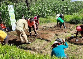 Establecimientos educativos de Tacaná reciben insumos para huertos