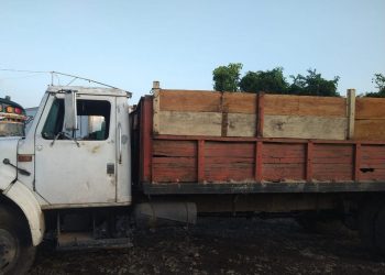 Capturan a piloto de camión señalado de coyotaje por traslado de grupo de migrantes