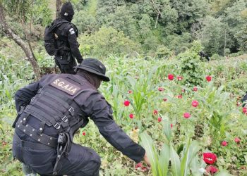 Cerca de 2 mil millones de quetzales incautados al narcotráfico en primer semestre de 2022