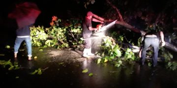 Brindan asistencia por incidentes causados por lluvias