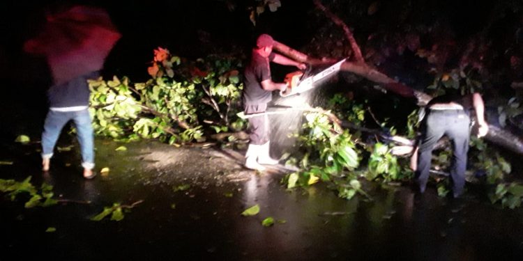 Brindan asistencia por incidentes causados por lluvias