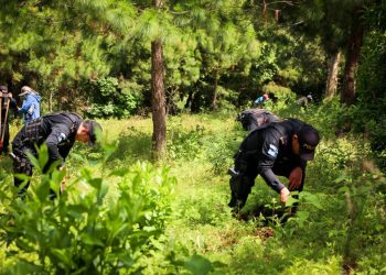 PNC participa en jornadas de reforestación./foto: PNC.